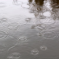 Regen, Regentropfen, See, Teich, kalt, naß, grau, Kreise, ziehen, aufspritzen