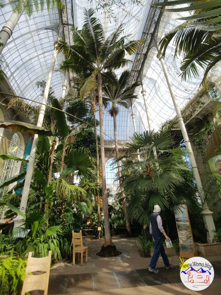 Botanischer Garten Edinburgh