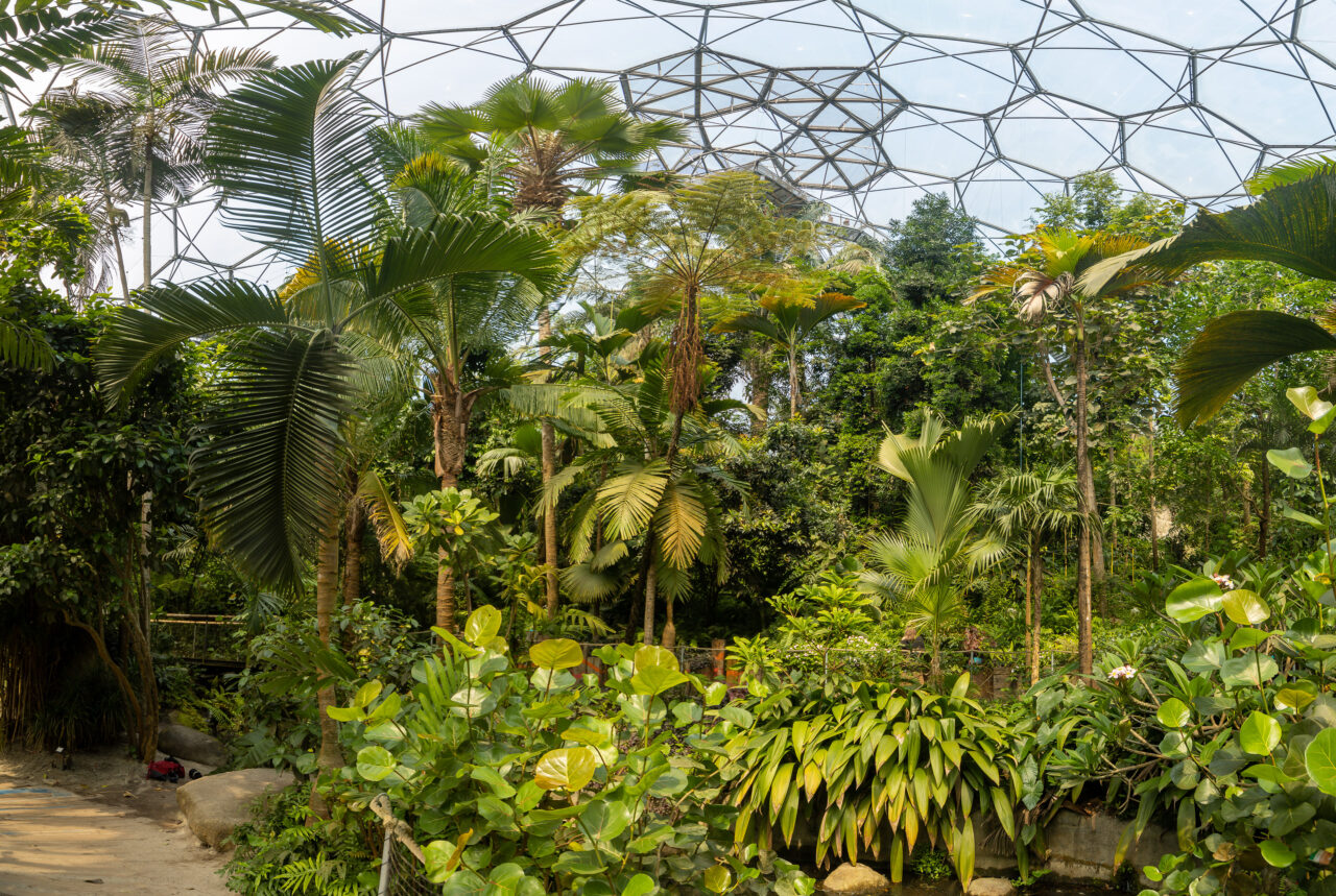 2023-05-23_11-43-21_Cornwall - Eden Project__MG_1131-Pano-3840