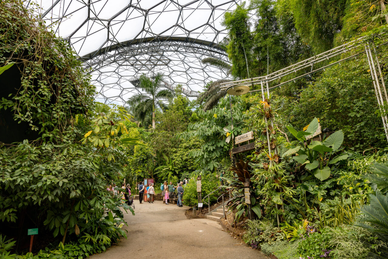 2023-05-23_12-19-37_Cornwall - Eden Project__MG_1190-3840