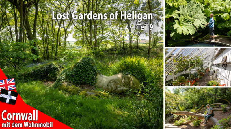 Lost Gardens of Heligan – Cornwall #9