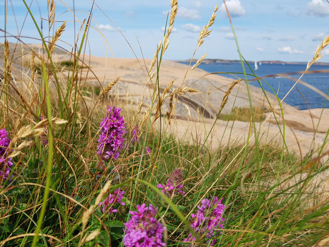 Lysekil