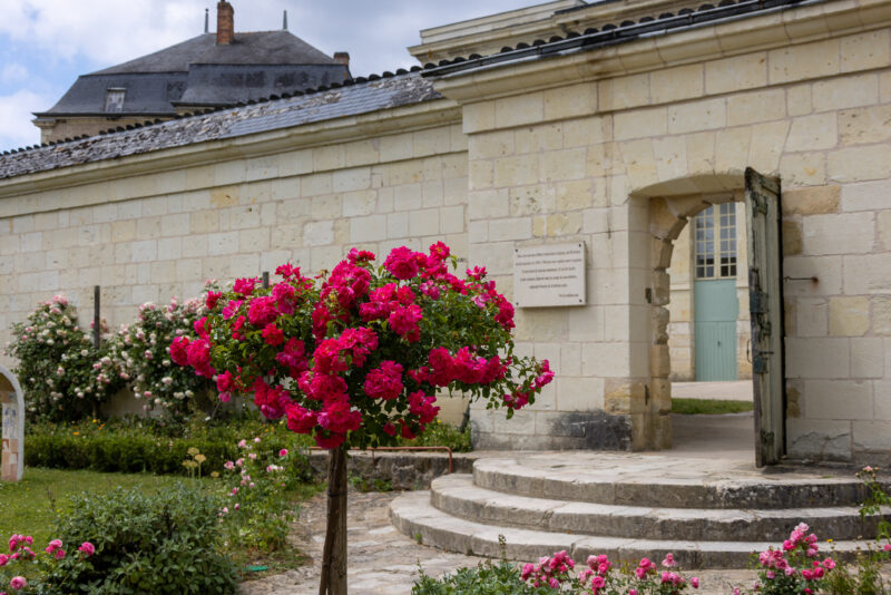 2022-06-05_13-24-08_Fontevraud l'Abbaye_1930-3840