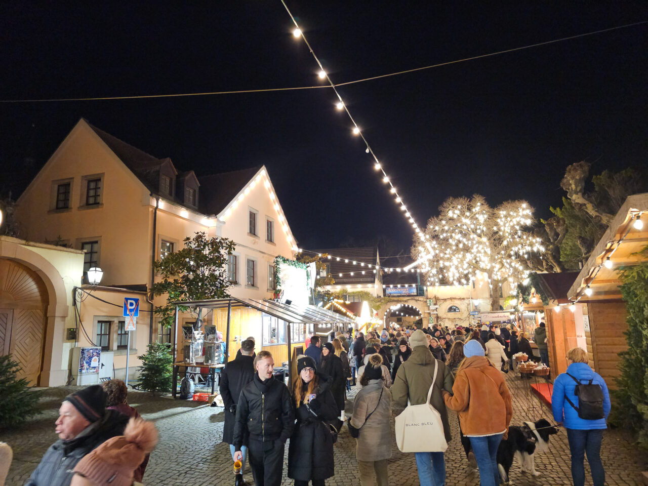 2024-12-06_19-57-19_Deidesheim - Tour de Weihnachtsmarkt _20241206_195719-3840