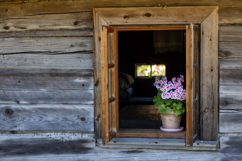 2024-07-10_10-51-36_Baltikum__MG_3536-3840-LAPTOP-E1RUKUVR