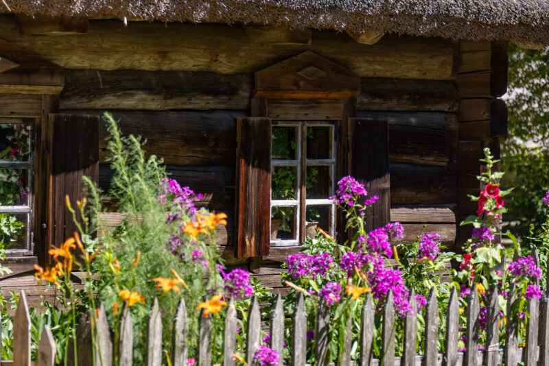 2024-07-10_10-58-25_Baltikum__MG_3543-3840-LAPTOP-E1RUKUVR