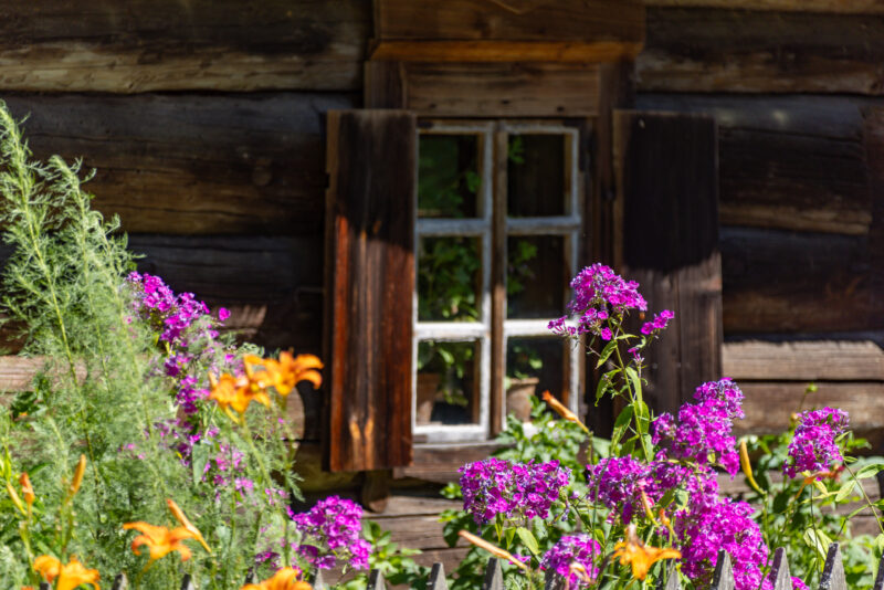 2024-07-10_10-58-31_Baltikum__MG_3544-3840-LAPTOP-E1RUKUVR