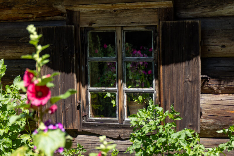 2024-07-10_11-00-24_Baltikum__MG_3546-3840-LAPTOP-E1RUKUVR