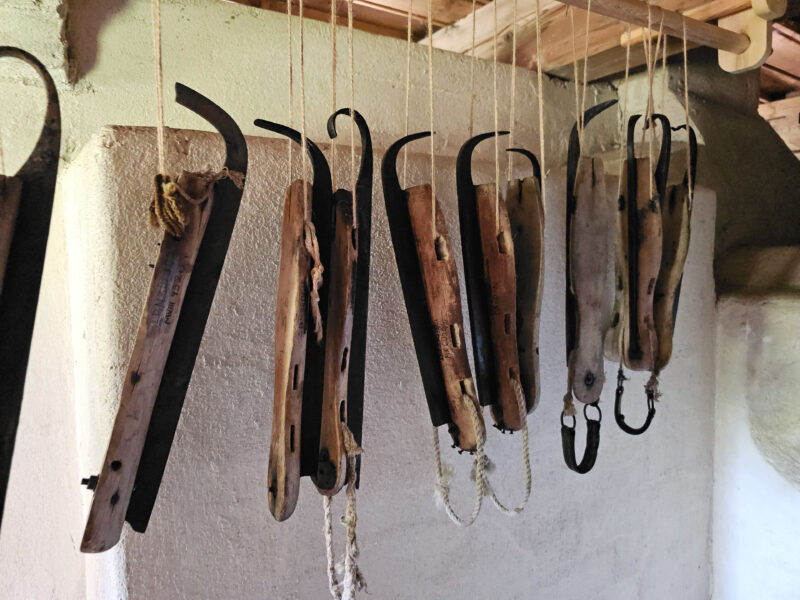 2024-07-10_11-40-56_Baltikum_20240710_114055-3840-LAPTOP-E1RUKUVR