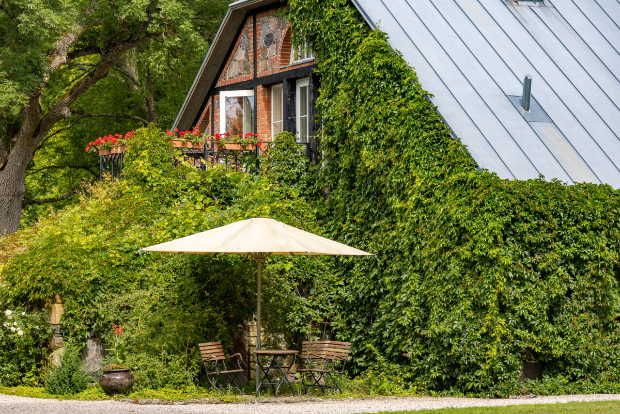 2024-07-23_12-29-59_Muhu Radtour__MG_7023-3840