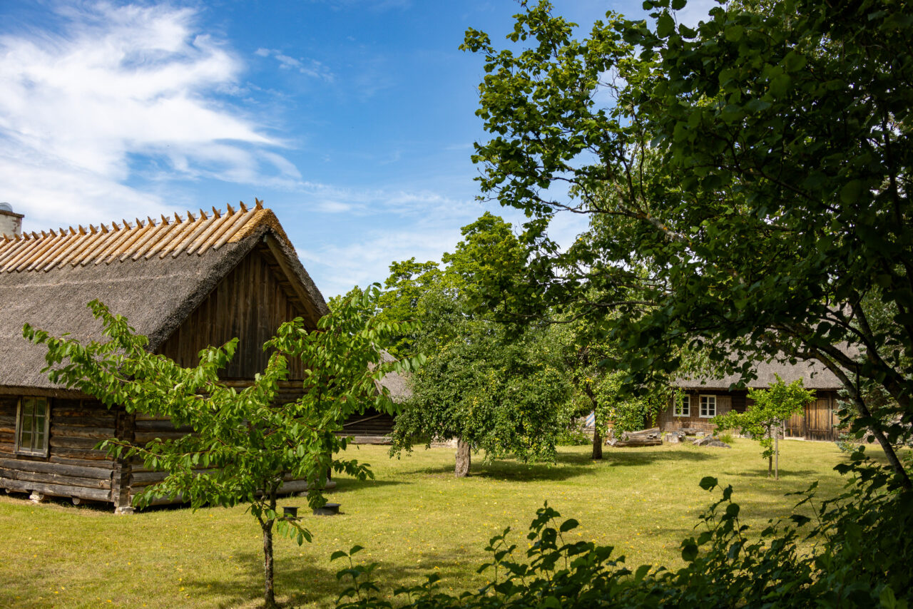 2024-07-23_14-17-21_Muhu Radtour__MG_7034-3840