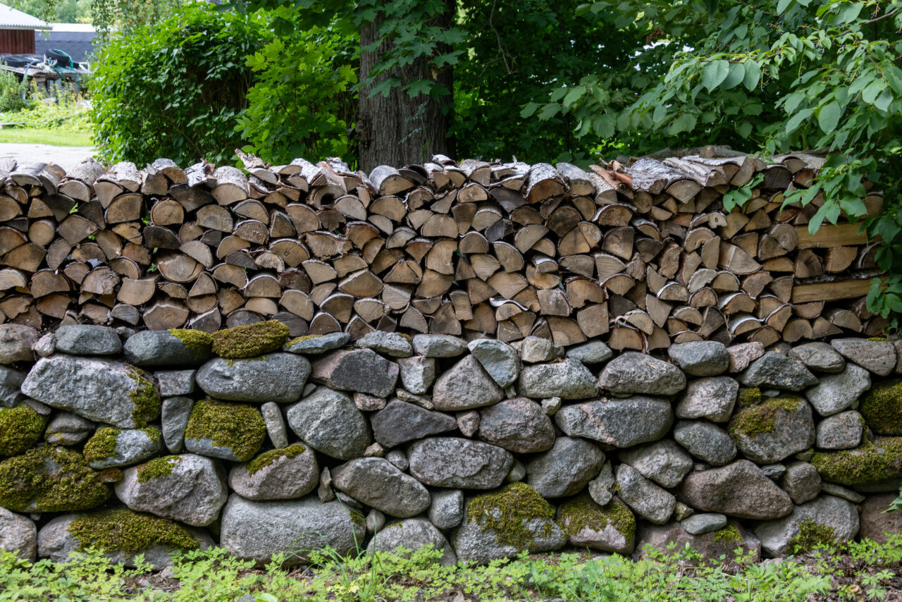 2024-07-23_14-25-45_Muhu Radtour__MG_7067-3840