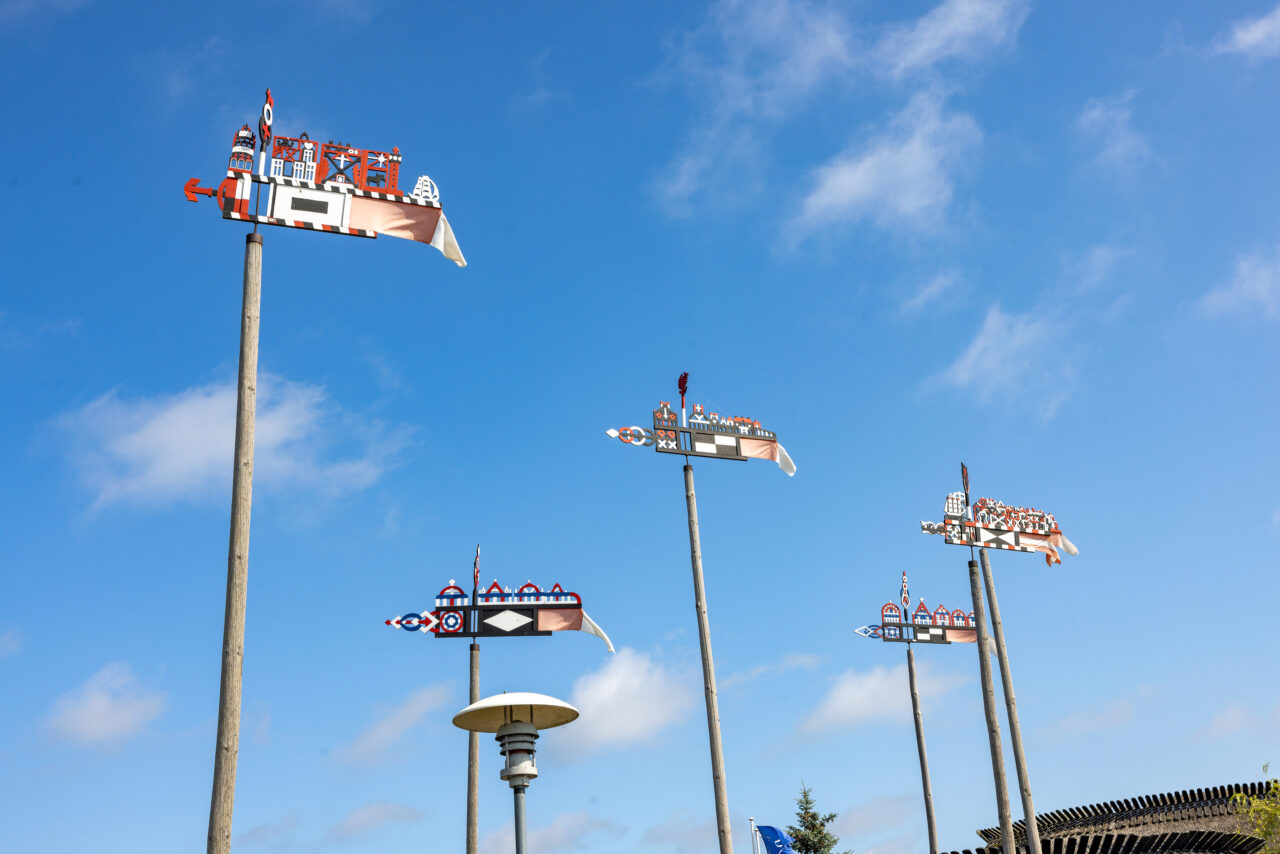 2024-07-31_10-56-22_Kurische Nehrung__MG_8757-3840-LAPTOP-E1RUKUVR