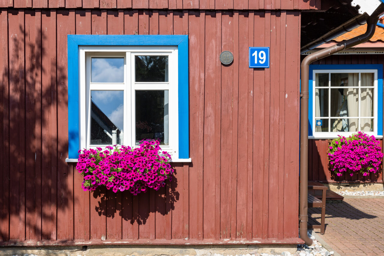 2024-07-31_11-03-54_Kurische Nehrung__MG_8787-3840-LAPTOP-E1RUKUVR