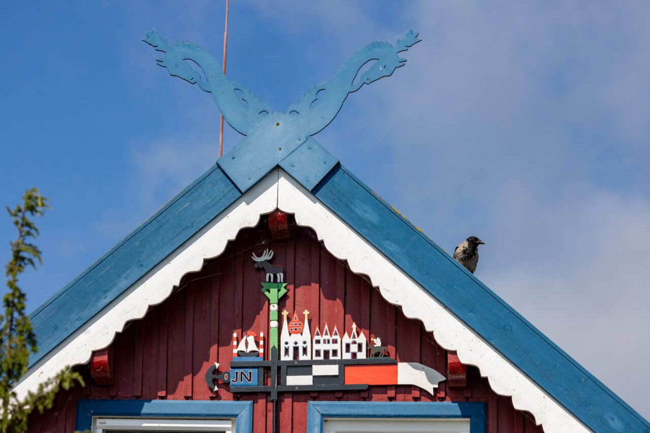 2024-07-31_11-14-59_Kurische Nehrung__MG_8830-3840-LAPTOP-E1RUKUVR