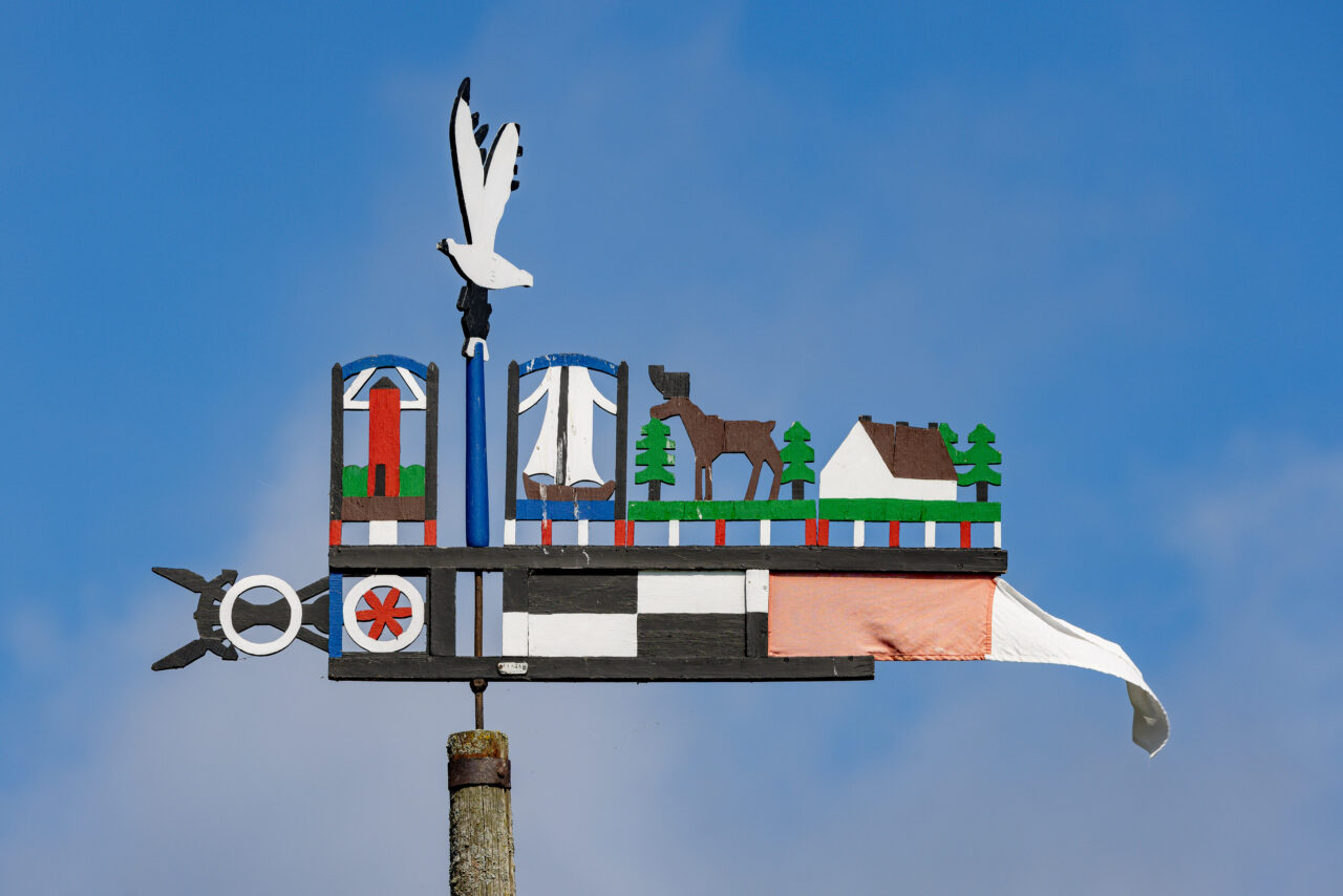 2024-07-31_11-18-51_Kurische Nehrung__MG_8859-3840-LAPTOP-E1RUKUVR