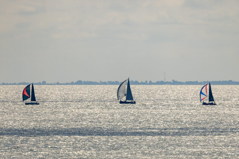 2024-07-31_11-43-15_Kurische Nehrung__MG_8920-3840-LAPTOP-E1RUKUVR