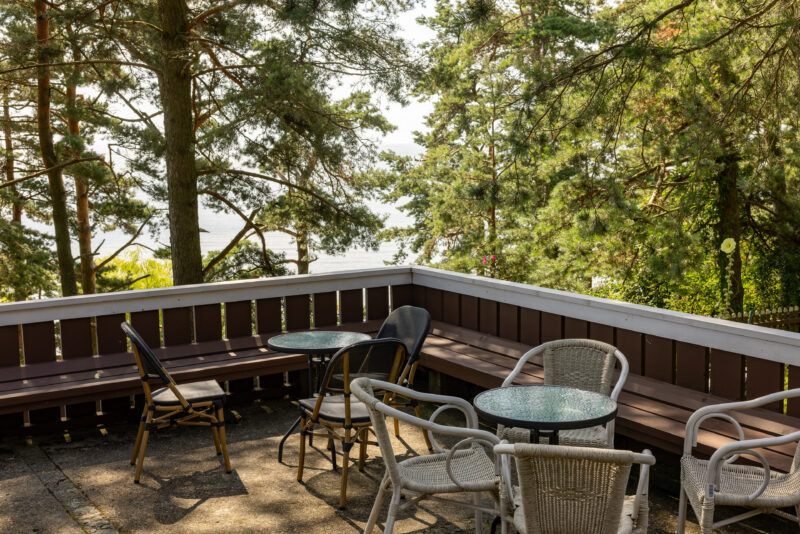 2024-07-31_12-03-40_Kurische Nehrung__MG_8926-3840-LAPTOP-E1RUKUVR