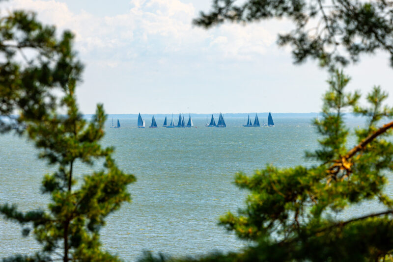 2024-07-31_12-53-07_Kurische Nehrung__MG_8956-3840-LAPTOP-E1RUKUVR