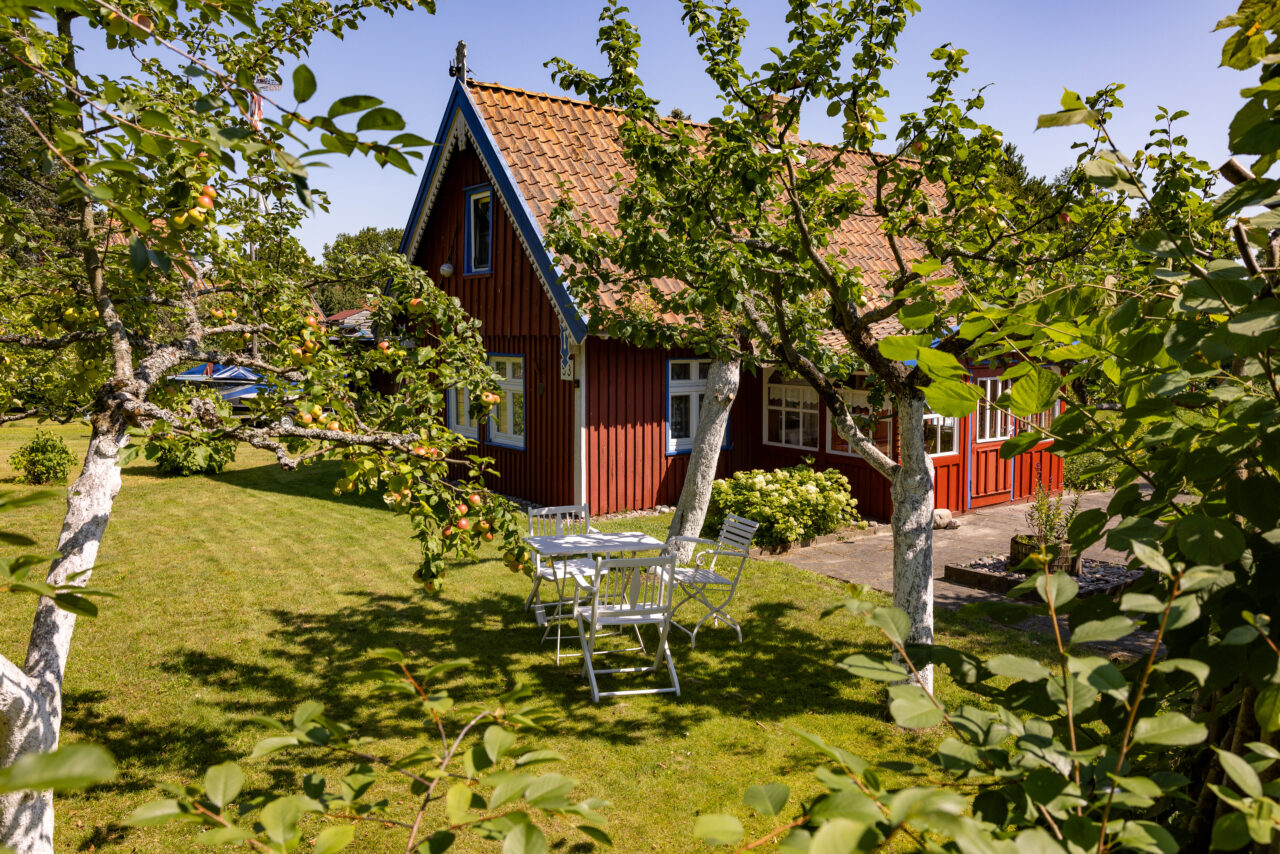 2024-07-31_14-04-30_Kurische Nehrung__MG_8996-3840-LAPTOP-E1RUKUVR