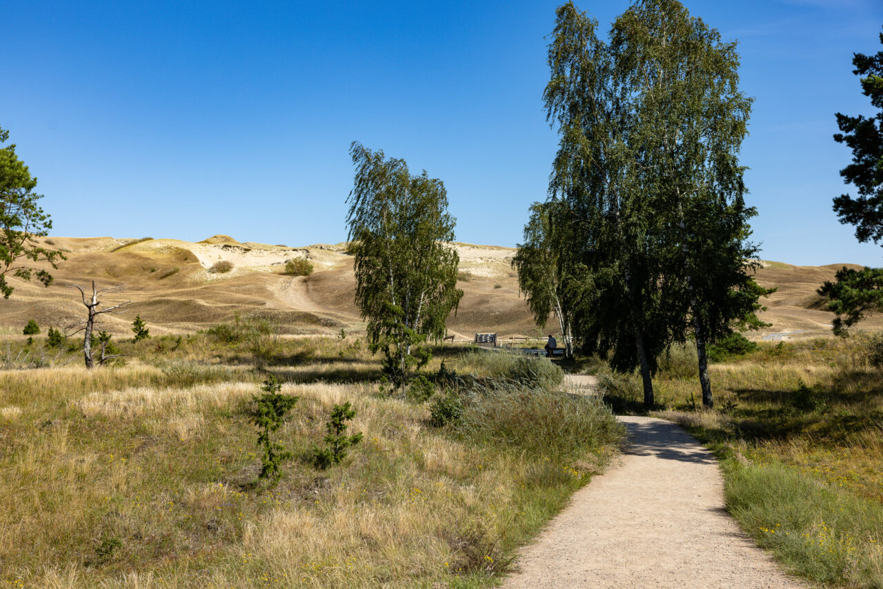 2024-07-31_16-17-25_Kurische Nehrung__MG_9039-3840-LAPTOP-E1RUKUVR