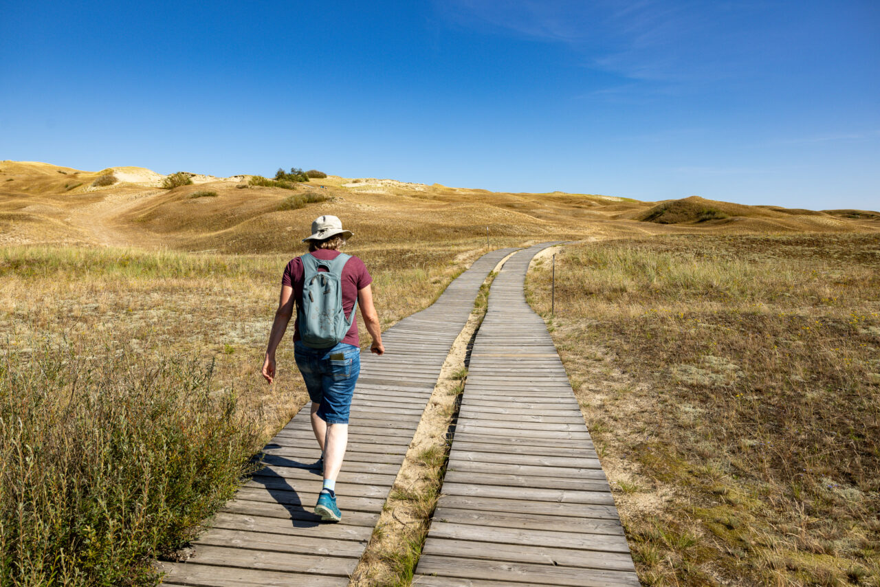 2024-07-31_16-19-54_Kurische Nehrung__MG_9043-3840-LAPTOP-E1RUKUVR