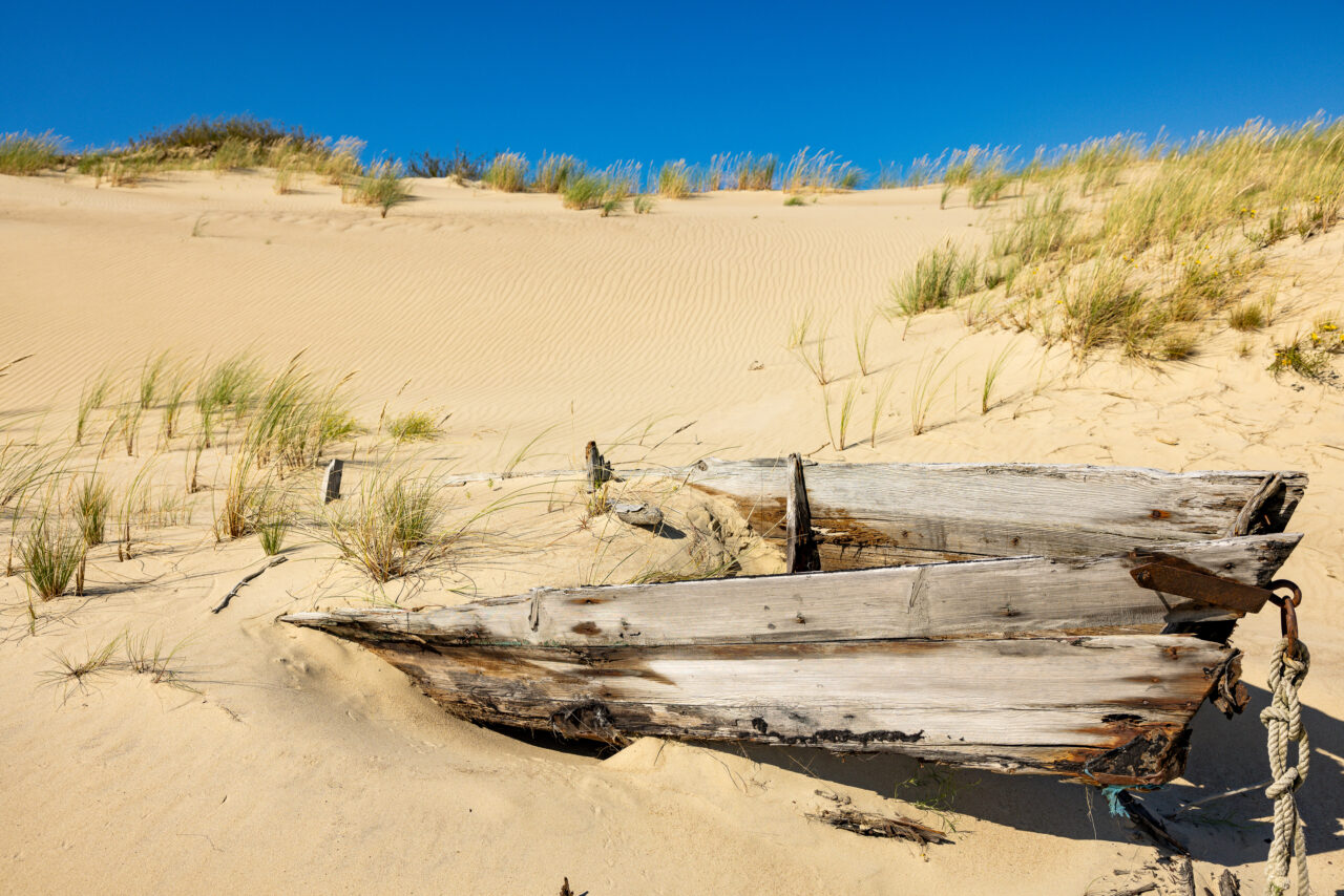 2024-07-31_16-29-26_Kurische Nehrung__MG_9051-3840-LAPTOP-E1RUKUVR