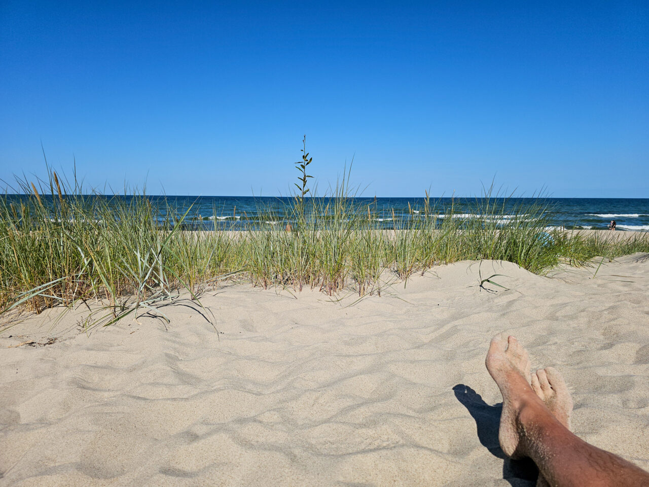 2024-08-01_10-47-03_Kurische Nehrung_20240801_104703-3840-LAPTOP-E1RUKUVR