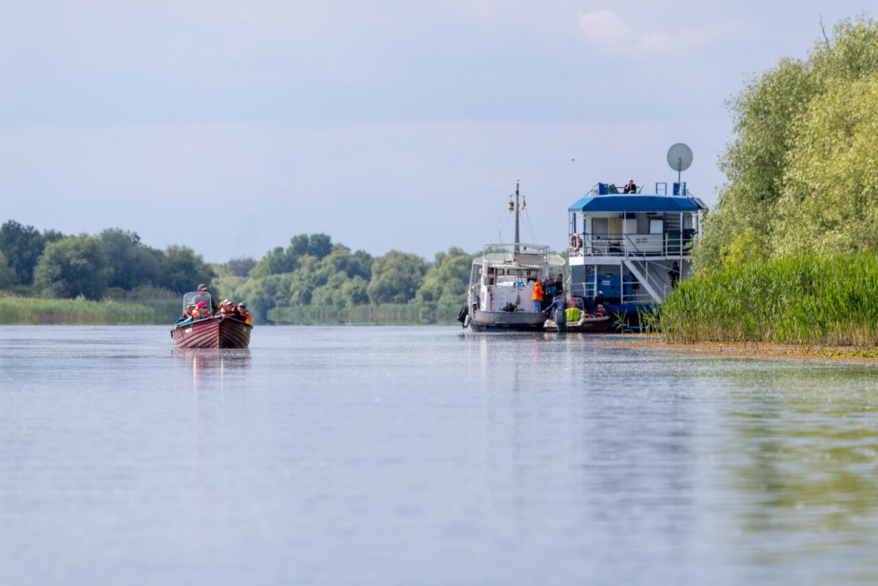 2025-05-14_16-13-44 _T5A0153 Donaudelta Stern-3840