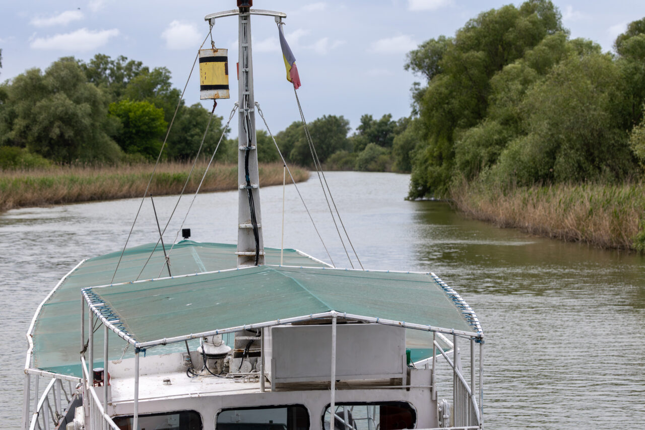 2025-05-16_14-00-22 _T5A7784 Donaudelta Stern-Verbessert-RR-3840