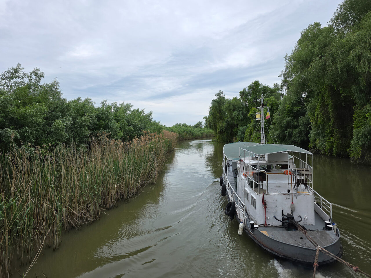 2025-05-16_16-43-22 20250516_164322 Donaudelta Stern-3840