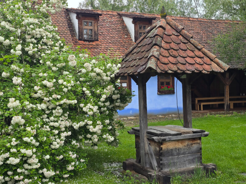 2025-05-27_12-20-37_Rumänien_20250527_122037-3840