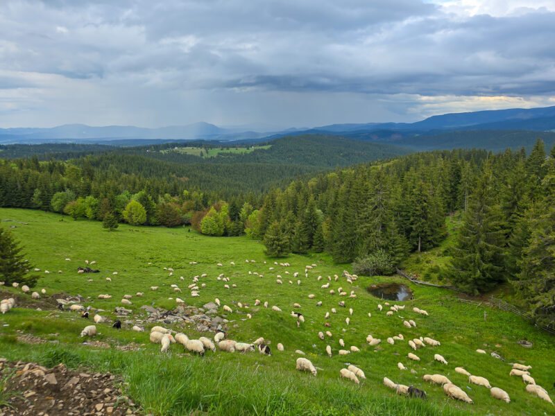 2025-06-01_18-13-02_Rumänien_20250601_181302-3840