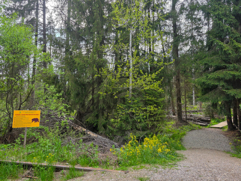 2025-06-01_18-49-14_Rumänien_20250601_184914-3840