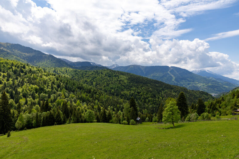 2025-06-02_14-06-21_Rumänien__T5A9009-2-3840