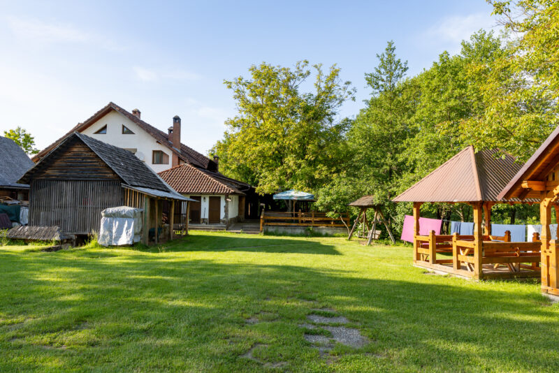 2025-06-02_18-39-44_Rumänien__T5A9243-2-3840