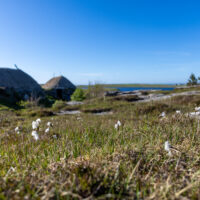 2026-05-27_18-11-56_Schottland - Black House__T5A3898-3840