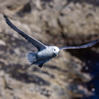 2026-05-28_12-16-21_Schottland - Butt of Lewis Leuchtturm__T5A3996-3840