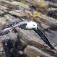 2026-05-28_12-18-27_Schottland - Butt of Lewis Leuchtturm__T5A4127-3840