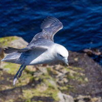 2026-05-28_12-23-12_Schottland - Butt of Lewis Leuchtturm__T5A4392-3840