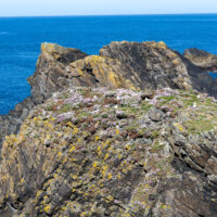 2026-05-28_12-28-03_Schottland - Butt of Lewis Leuchtturm__T5A4427-3840