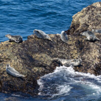 2026-05-28_13-17-42_Schottland - Butt of Lewis Leuchtturm__T5A4642-3840