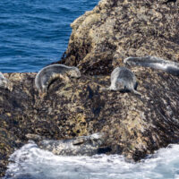2026-05-28_13-26-29_Schottland - Butt of Lewis Leuchtturm__T5A4646-3840