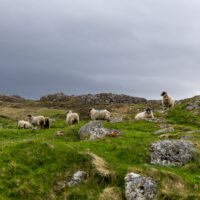2026-05-30_11-30-54_Schottland - Dun Carloway Broch__T5A4820-3840