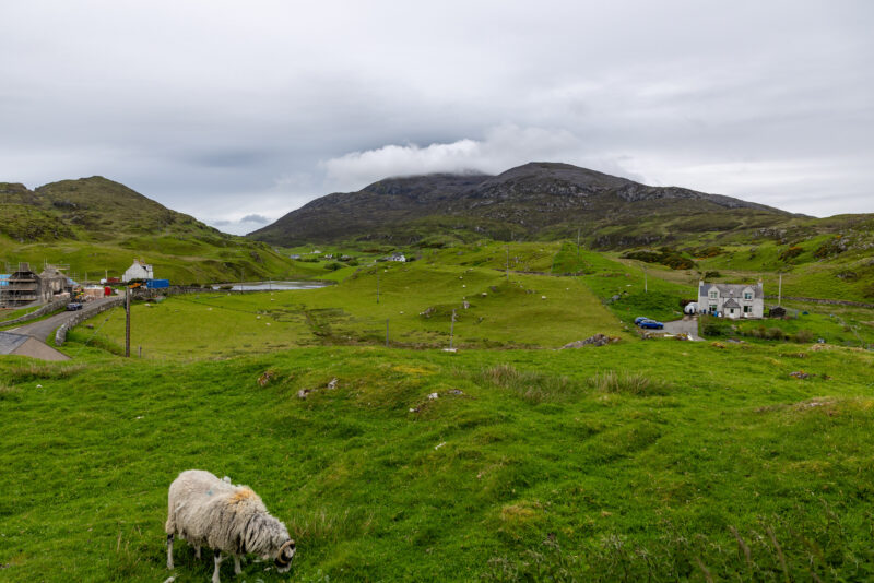 2026-06-03_15-04-46_Schottland - Golden Route__T5A5526-3840