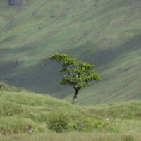 2026-06-08_10-14-12_Schottland - Mull__T5A6432-3840