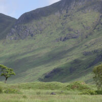 2026-06-08_10-14-27_Schottland - Mull__T5A6434-3840