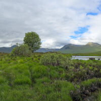 2026-06-14_11-32-58_Schottland-Glen-Coe_20260614_113240-3840