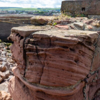 2026-06-17_11-46-06_Dunbar - Bamburgh Castle__T5A2518-3840