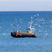 2026-06-17_12-00-01_Dunbar - Bamburgh Castle__T5A2525-3840